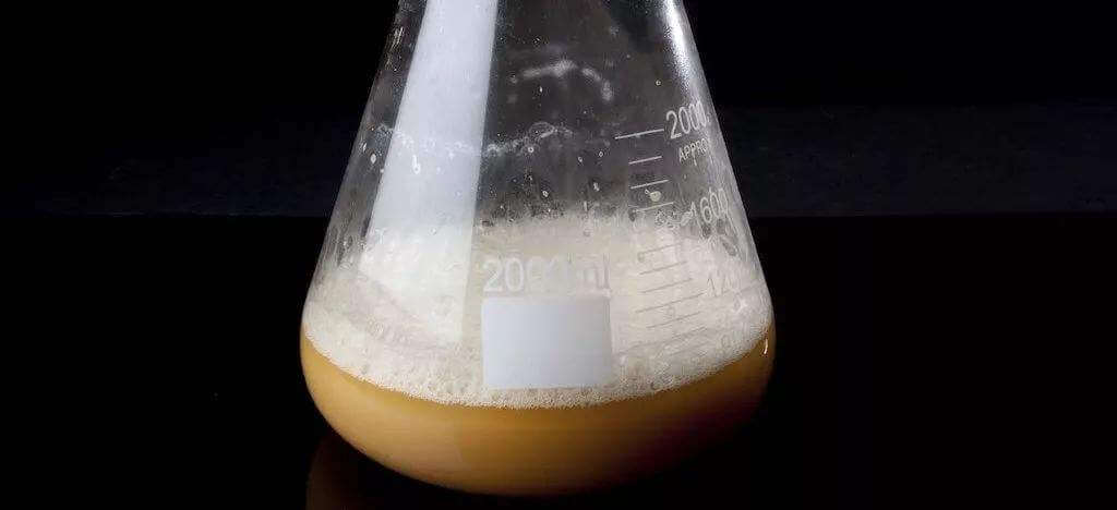 酵母發(fā)酵起泡是怎么回事，怎么處理這些泡沫？